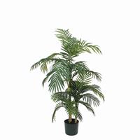 Micaflowers Decorations areca palm groen in plastic pot maat in cm: 150 x 100