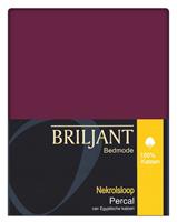 briljant Nekrol Kussensloop Aubergine (1 stuk)-110 x 40 cm