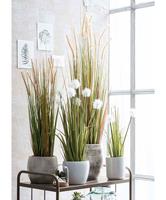 Mica® Decorations agave in pot maat in cm: 60 x 25