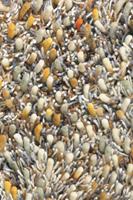 Brink & Campman - Spring 59103 - 140x200 cm