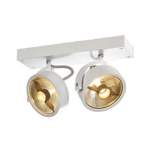 Dmlights Design spots Kalu 2 QPAR111 SLV. 147311