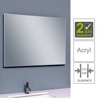 BWS Spiegel Tigris 120x60 cm Aluminium