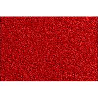 Praxis Droogloopmat Twister 80x120cm rood