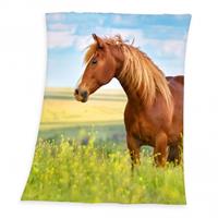 Vlies deken paard - Kleurrijk - 