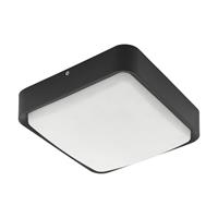 EGLO Connect Piove-C LED buiten wandlamp