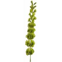 Kunst Molucella tak 80 cm groen - kunstbloemen