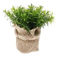 Kunstplant tijm kruiden groen in pot 16 cm