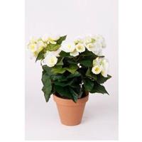 Kunstplant Begonia wit 30 cm