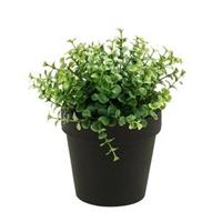 Kunstplant eucalyptus groen in pot 20 cm - Kamerplant groene eucalyptus