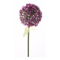 Kunstbloem Sierui / Allium roze/paars 70 cm Paars