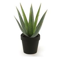 Bellatio Kunstplant aloe vera groen in zwarte pot 23 cm Groen