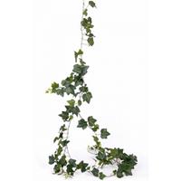 Bellatio Klimop slinger Hedera Gala 205 cm Groen