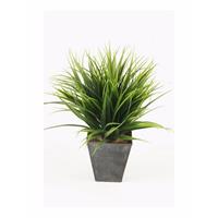 Bellatio Kunstplant Grass Bush grasplant in zwarte zinken pot 30 cm Groen