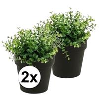 Bellatio 2x Kunstplant eucalyptus groen in zwarte pot 20 cm Groen