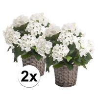 Bellatio 2x Witte Hortensia kunstplant in mand 45 cm Groen