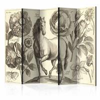 Vouwscherm - Paard 225x172cm