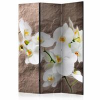 Vouwscherm - Perfectie van de Orchidee 135x172cm