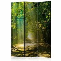 Vouwscherm - Pad door het bos 135x172cm