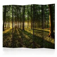Vouwscherm - Ochtend in het bos 225x172cm