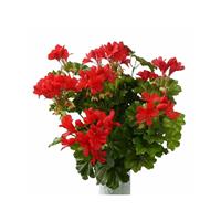 Bellatio Kunstplant Oostenrijkse geranium rood 40 cm Groen