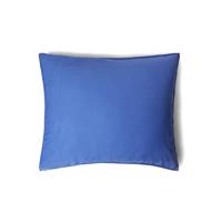 Van Morgen Blue Diving 60x70cm