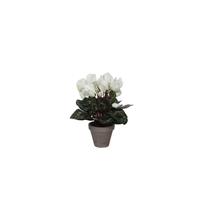 Mica Decorations Decorations cyclamen wit in pot stan grijs (dia 11) maat in cm:
