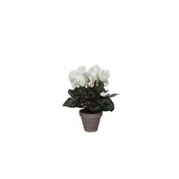 Mica Decorations Decorations cyclamen wit in pot stan grijs (dia 11) maat in cm: