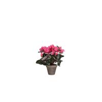 Mica Decorations Decorations cyclamen lichtroze in pot stan grijs (dia 11) maat