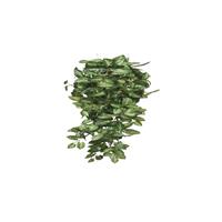 KantoormeubelenPlus Fittonia Kunst Hangplant - L15 x B30 x H80 cm - Groen