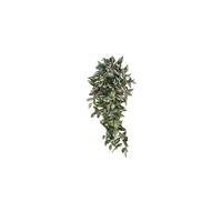 Mica Decorations Decorations tradescantia hangend groen maat in cm: 80 x 30 x 15