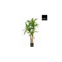 Mica flowers Decorations dracaena h100 groen in pot