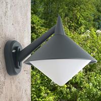 LCD Grafietkleurige outdoor wandlamp Liara