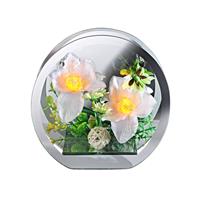 Igea Bol metÂ orchideeën en leds  wit