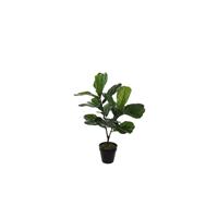 Mica Decorations Decorations ficus lyrata in plastic pot maat in cm: 75 x 60