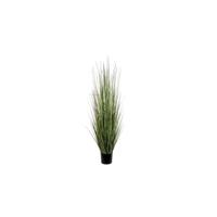 Mica Decorations Decorations gras in pot maat in cm: 153 x 50