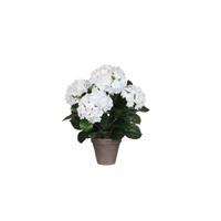 Mica Decorations Decorations hortensia wit in pot stan grijs d13,5 maat in cm: 45