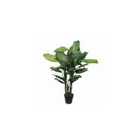Mica Decorations Dieffenbachia In Pot Maat In Cm: 105 X 85 - Groen