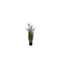 Mica Decorations Decorations papyrus in plastic pot maat in cm: 102 x 15