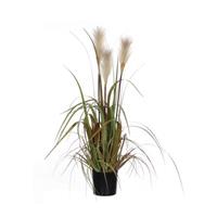 Mica Pluimgras foxtail wit in pot h81xd45 cm 