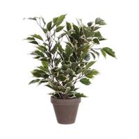 Mica kunstplant Ficus (h40 cm)