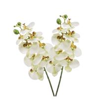Shoppartners 2x Witte Phaleanopsis/vlinderorchidee kunstbloemen 70 cm Wit