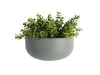 pt wandbloempot Oval wide-groen