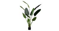 Woood Strelitzia Kunstplant Groen 164 cm