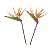 Mica Decorations 2x Oranje strelitzia/paradijsvogelbloem kunstbloemen 90 cm Oranje