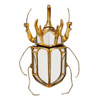 Kare Design Muurdecoratie Beetle Mirror 36.5 x 27.5 x 6.5