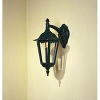 buitenlampenshop.nl Wandlamp Firenze Certaldo groen buitenlamp Konstsmide 7212-600 zeskant hangend