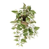 Shoppartners Groene Tradescantia/vaderplant kunstplant 70 cm in hangende pot Groen