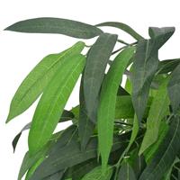 Kunstplant met pot mangoboom 140 cm groen