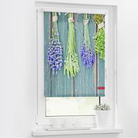 Seitenzugrollo Klemmfix Motiv KÃ¼chenkrÃuter, LICHTBLICK, Lichtschutz, ohne Bohren, freihängend