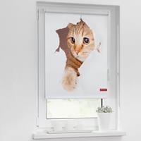 home24 twentyfour Verdunkelungsrollo Katze 120x150 cm (BxH) Weiß/Braun Webstoff